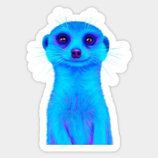 Blue Meerkat Sticker